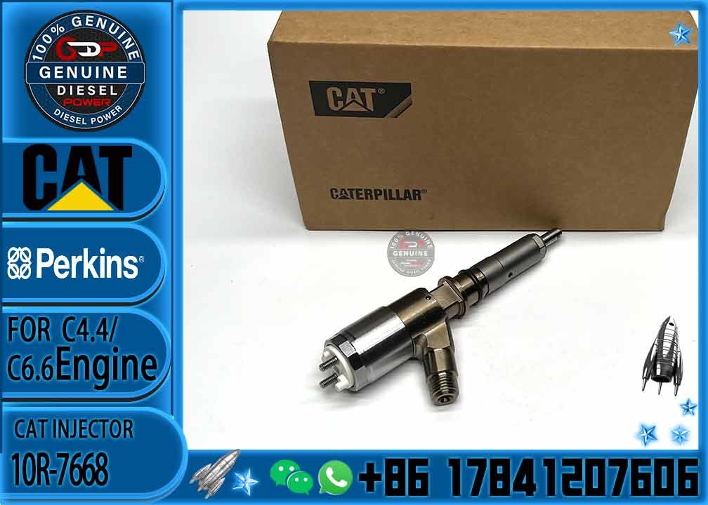 Fuel Common Rail Injector 10R-7668 2645A747 10R-7671 10R-7672 2645A718 10R-7673 10R-7676 2645A734