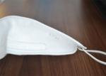 Earloop Niosh N95 Face Mask Pm 2.5 Virus Protection FFP2 Comfortable