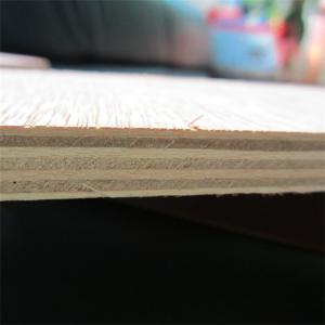 Wholesale Furniture Moisture Proof 18mm 12mm Bintangor Plywood from china suppliers