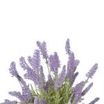 42cm Factory Direct Sale Bonsai Plants Lavender for Indoor Decoration Housewarmi