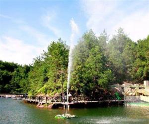 Wholesale High Shoot Spray Fountain Stainless Steel 304 Nozzle Fountain from china suppliers
