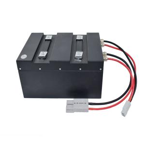 Wholesale 300*245*169mm Pallet Truck Battery Black Discharge Time 2-3 Hours 24V 60AH from china suppliers
