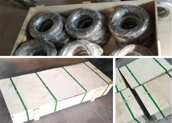 Ss304L Stainless Steel Cable Mesh Climbing Plant Support Mesh 100x100mm