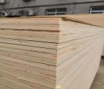 Poplar Core Commercial Grade Plywood For Home Decoration Furniture E1 Glue