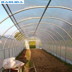 Wholesale Plastic Covering Polyethylene Film Greenhouse / Single Span Tunnel Flower Power Greenhouse from china suppliers
