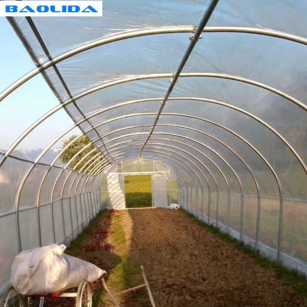 Plastic Covering Polyethylene Film Greenhouse / Single Span Tunnel Flower Power