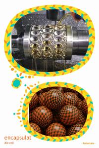Wholesale Starch Soft Capsule Mould from china suppliers