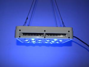 Wholesale 120w actual power agricultural led plant grow lighting with 2 channel controlled from china suppliers