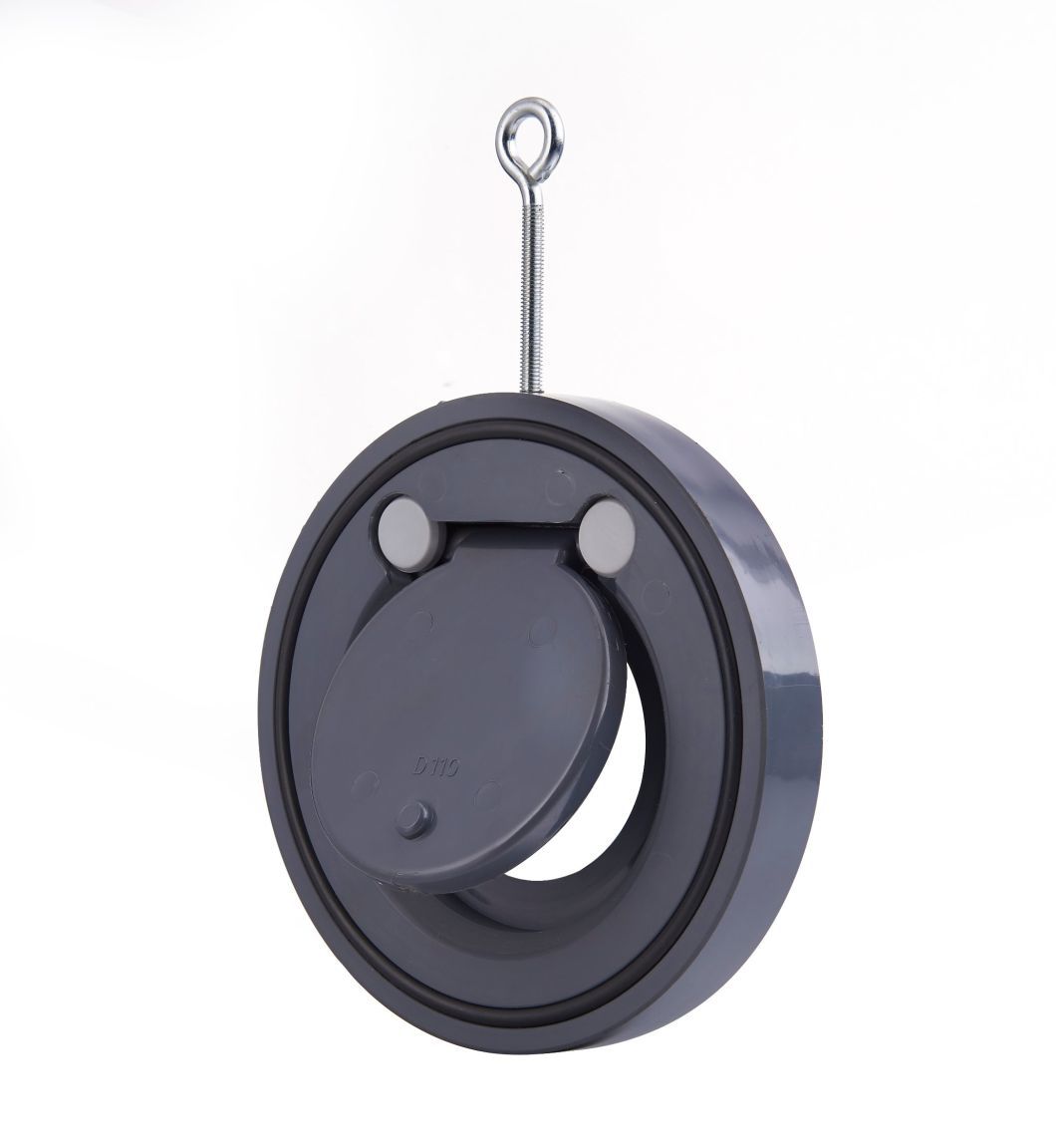Chinese DIN ANSI JIS Standard PVC Check Water Valve, Swing Check Vallve, Wafer Check Valve