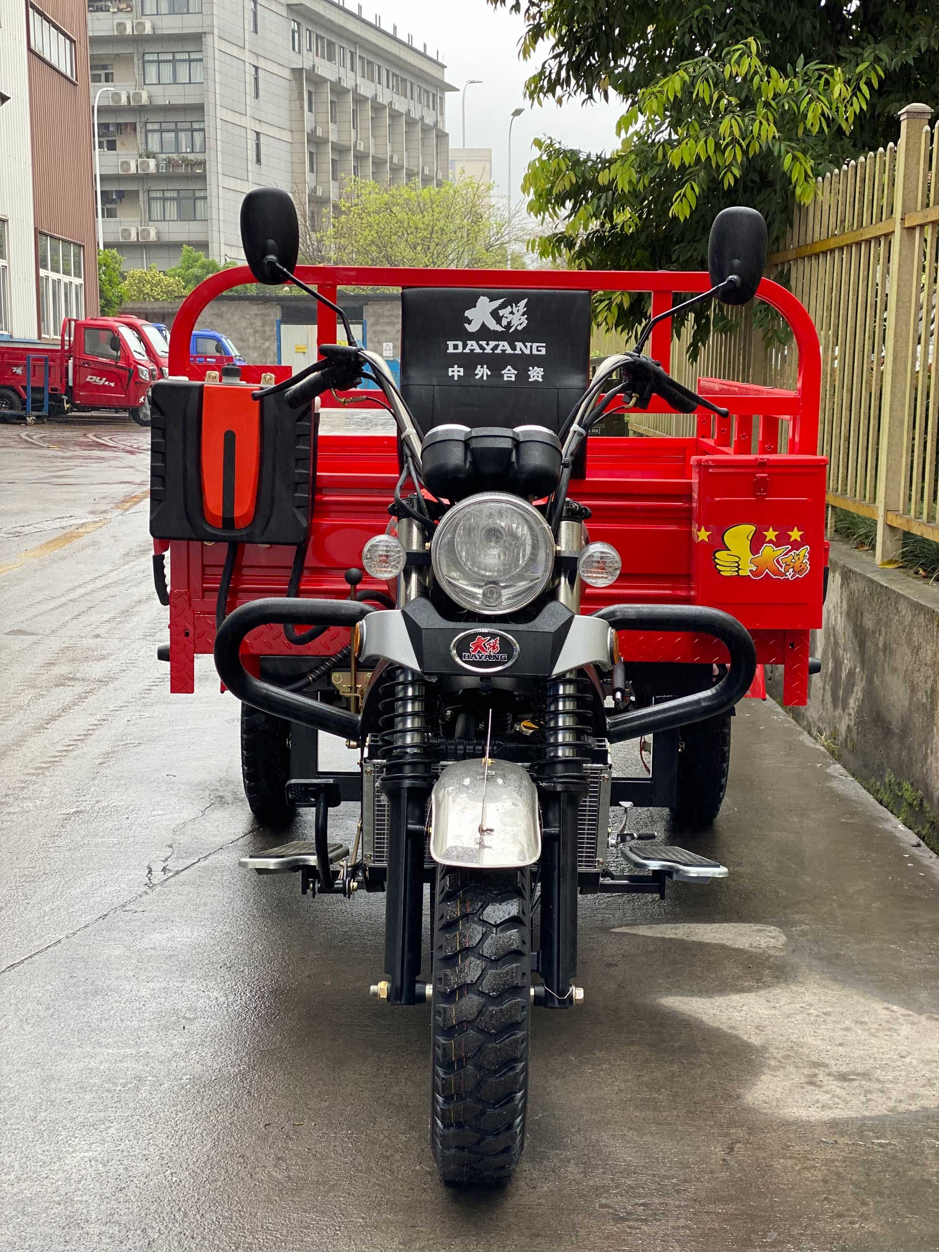 DAYANG 200cc Gas Tricycle with 5.0 Inch Wheels and Durable Lifan Engine in Cameroon