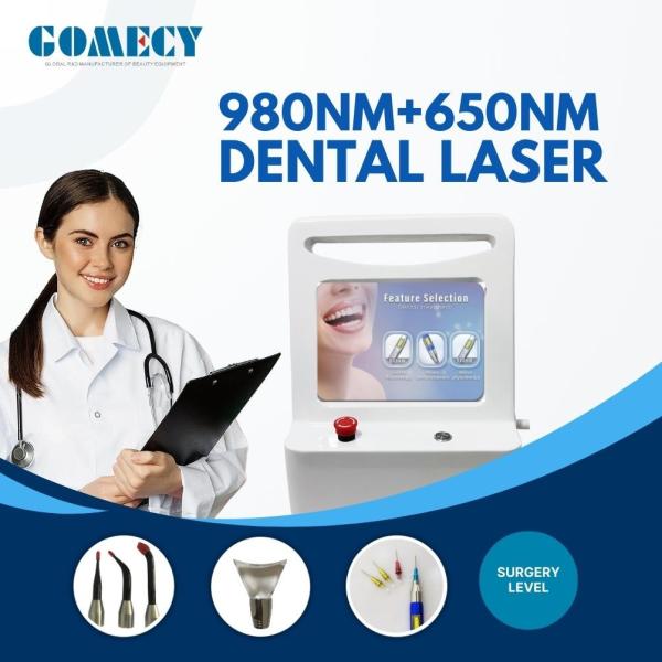 Professional Dental Clinic ENT 650nm 980nm Diode Laser Therapy Machine for Teeth