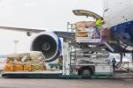International Safe DDP Air Shipping With Destination Storage Service
