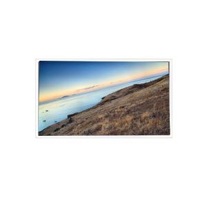 Wholesale MV185WHM-N10 18.5 inch 1366*768 16.7M 99%sRGB LCD Panel for Industrial from china suppliers
