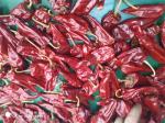 5000SHU Mild Dried Chilies Stemmed Grade A Dried Red Chile Pods