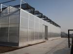Prefab Agricultural Greenhouses with Industrial Polycarbonate Sheets and Cooling
