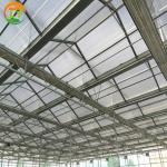 PC Greenhouse for Multi-Span Agricultural Greenhouses Section 8.0m Strong