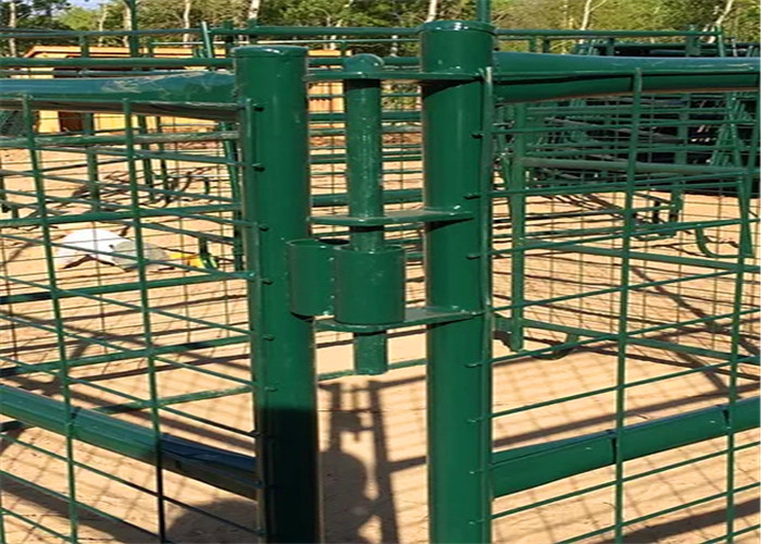 Long Lasting Powder Coating Heavy Duty Cattle Panel 1.8m X 2.1m