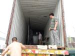 Hot sale low price galvanized Canada temporary fence (High quality and high