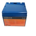 Deep Cycle 35Ah 12V LiFePO4 Batteries BMS Rechargeable LFP
