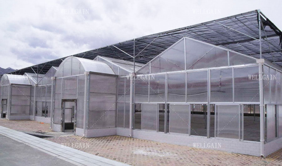 Steel Frame Large Polycarbonate Greenhouse With Precision Climate Control