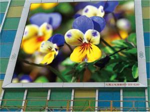 Wholesale Shopping Mall P10 Outdoor Led Display , Full Color Outdoor Advertising Led Display from china suppliers