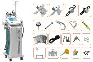 Wholesale Ultrasound Cavitation Cryolipolysis Slimming Machine , 2M HZ RF Frequency for clinic from china suppliers