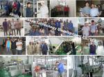 Nutrition Instant Baby Food Making Machinee / Rice Powder Making Machine