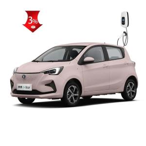 Wholesale 2023 super Changan benben Mini estar e-starola middle top version New Energy Vehicle 310km Benni benben e-star ev Electric Car from china suppliers