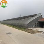 Film Agricultural Solar Greenhouses Maximize Your Vegetable Fruits and Flowers