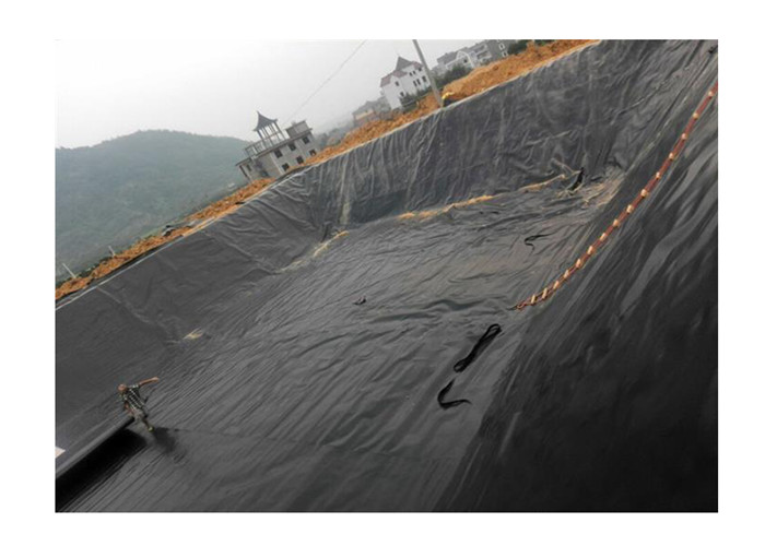 Hdpe Swimming Pool Polyethylene Geomembrane Flexible Small Pond Liner