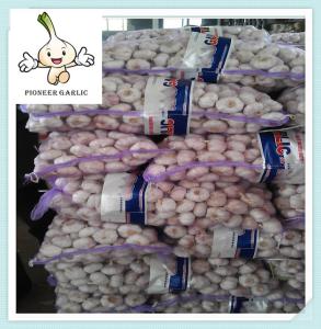 Wholesale Shandong 10Kg/ Ctn Natural Fresh Normal White Garlic For Chile from china suppliers