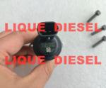BOSCH valve 1465ZS0071 0928400689 1 465 ZS0 071 0 928 400 689