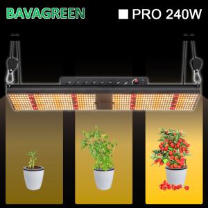 Wholesale ETL 95 Cri SAMSUNG LM301H Board Oslon 660nm 240W LED Grow Light from china suppliers