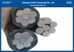 LV Aluminium Conductor Overhead Insulated Cable 0.6/1kv Corrosion Resistance