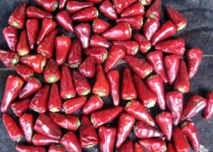 Wholesale Stemmed Heaven Facing Chilli Culinary Chaotian Dry Red Chilli from china suppliers