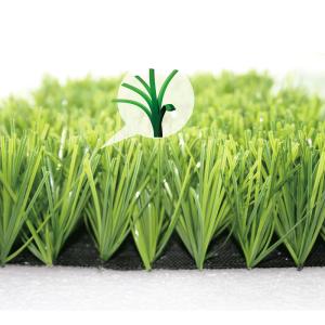 Wholesale 60mm Multi Purpose Artificial Football Grass For Outdoor Indoor Soccer Field from china suppliers