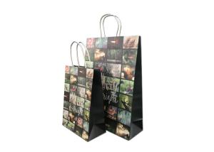 Wholesale Decorative Luxury Christmas Packaging , Fancy Printed Paper Shopping Bags from china suppliers