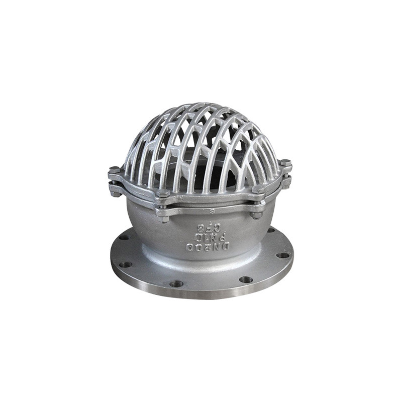 Stainless Steel 304/316 Foot Valve with High Quality