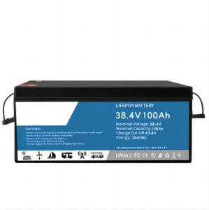 Wholesale 0.2C Discharging LifeP04 Lithium Battery 100ah Multifunctional For Data Center Backup from china suppliers