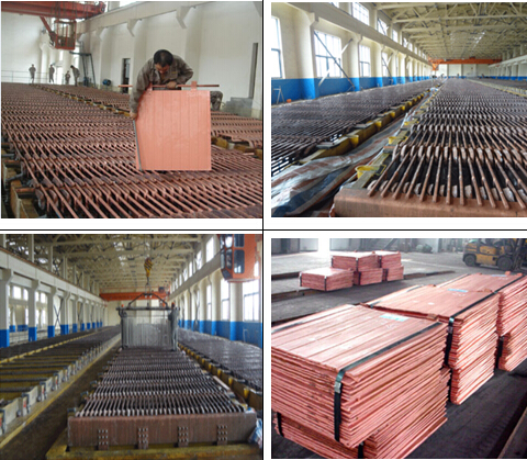PCB E Waste Gold Recovery Machine 200kg/H-1000kg/H Low Noise