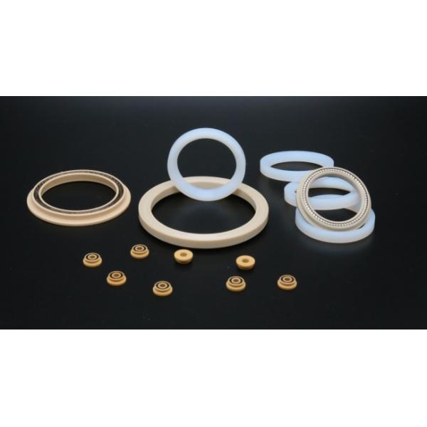 PTFE PEEK Material Spring Energized Seals For Food Machinery Anti Corrosion