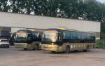 Fuel Type Diesel Used 65 Seats Luxury Coach Bus in Nice Buses