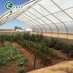 Vegetable Fruits Flowers Mushroom House for Eco-friendly Growing
