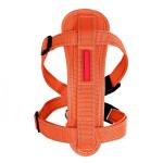 Nylon Chest Plate Dog Harness With Rugged Welded Stainless Steel D Ring
