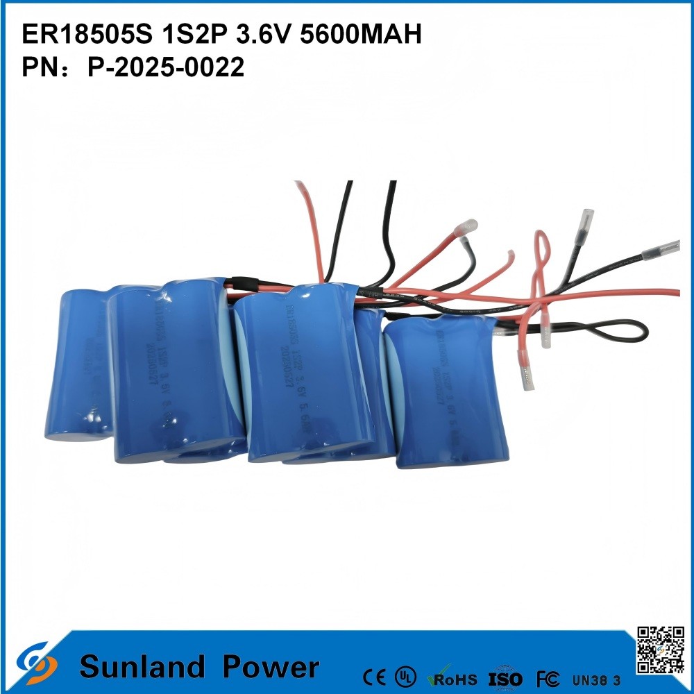 ER18505S 1S2P 3.6V 5600MAH High-Temperature Resistant, High-Capacity Battery