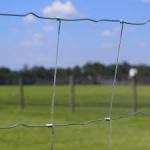 Hot Selling High Quality Galvanized Livestock Fence Goat Cattle Sheep Grassland