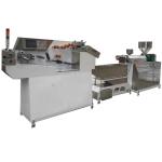 Single-screw Automatic High Accuracy Zipper Extruder Machine