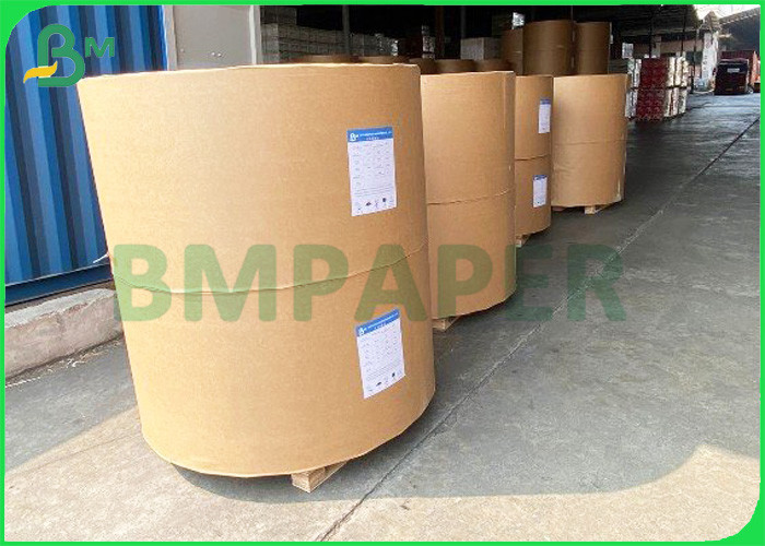 High Thickness 15g PE Coating 300gsm 320gsm 350gsm Ivory Board For Packing Food