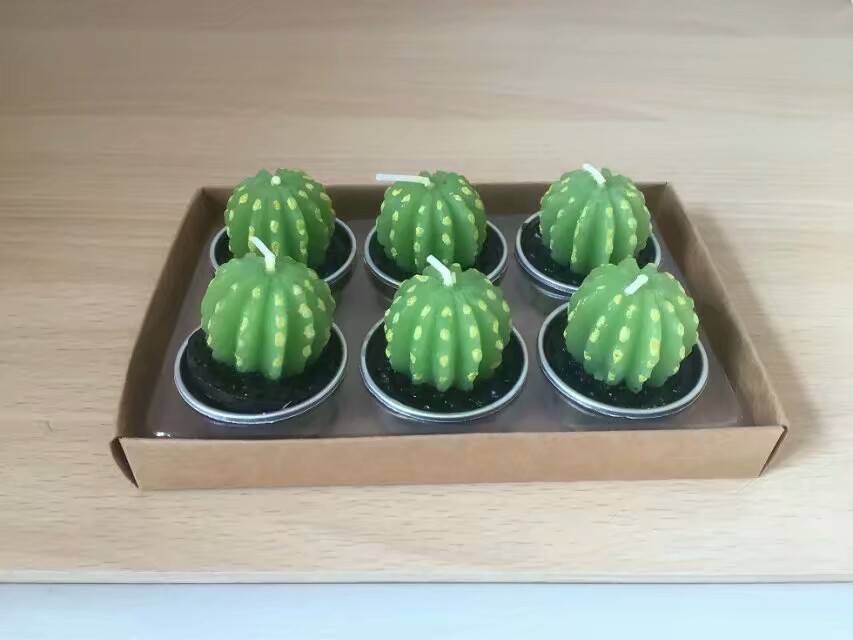 Decor green bonsai plants unscented candle with metal cup and the package of paper tray and PVC box