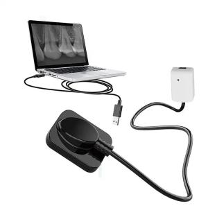 Wholesale Dental X-Ray Digital Sensor For Dental Implant And Endodontic Treatment from china suppliers
